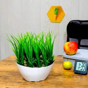 Grass Artificial Plant Showpiece for Home Decor (Plastic) – 7.5 Inch - Image 1